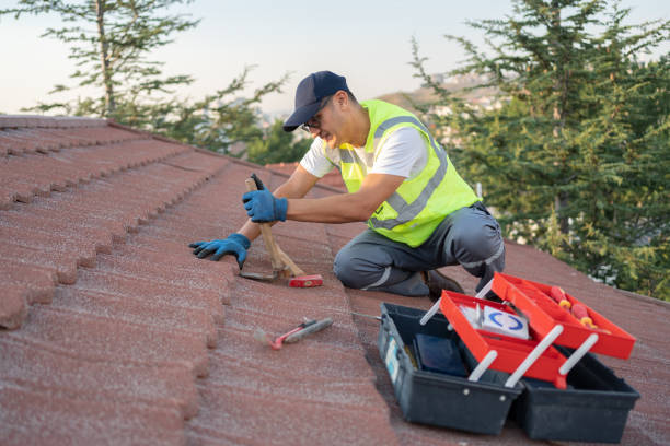 Best Flat Roof Repair Services  in Woodbine, IA