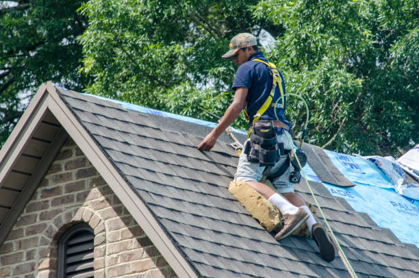 Best Storm Damage Roof Repair  in Woodbine, IA